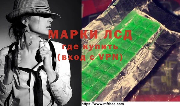 стаф Братск
