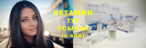 стаф Братск