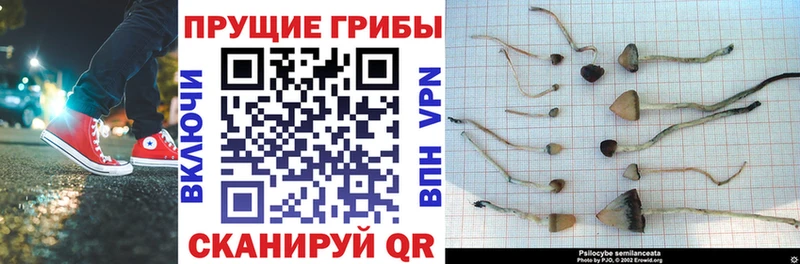 omg ТОР  Еманжелинск  Псилоцибиновые грибы GOLDEN TEACHER  где купить  