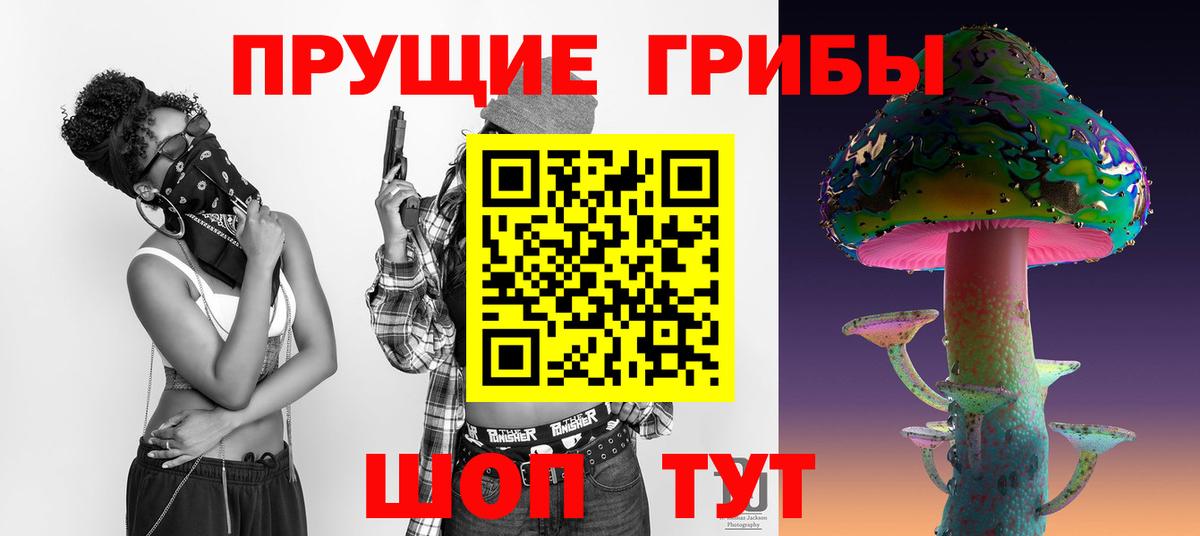 Псилоцибиновые грибы Psilocybine cubensis Еманжелинск