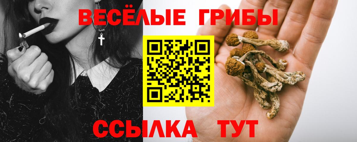 Галлюциногенные грибы мицелий Еманжелинск